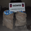 GAZİANTEP'İN NİZİP İLÇESİNDE BİR OTOMOBİLDE 3 BİN PAKET GÜMRÜK KAÇAĞI SİGARA ELE GEÇİRİLDİ.   (ÖMER YAYLA/GAZİANTEP-İHA)