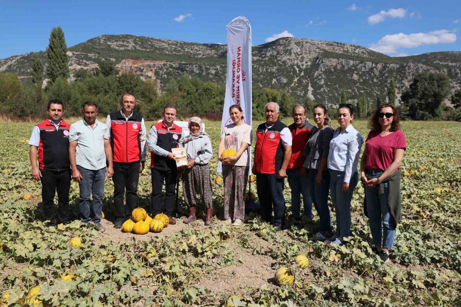 Menteşe’de yayla kavunu ve ata sebzelerinin hasadı yapıldı - 5